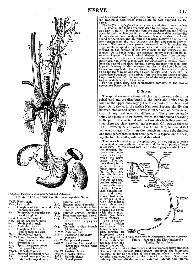 EB1911 - Volume 19.djvu