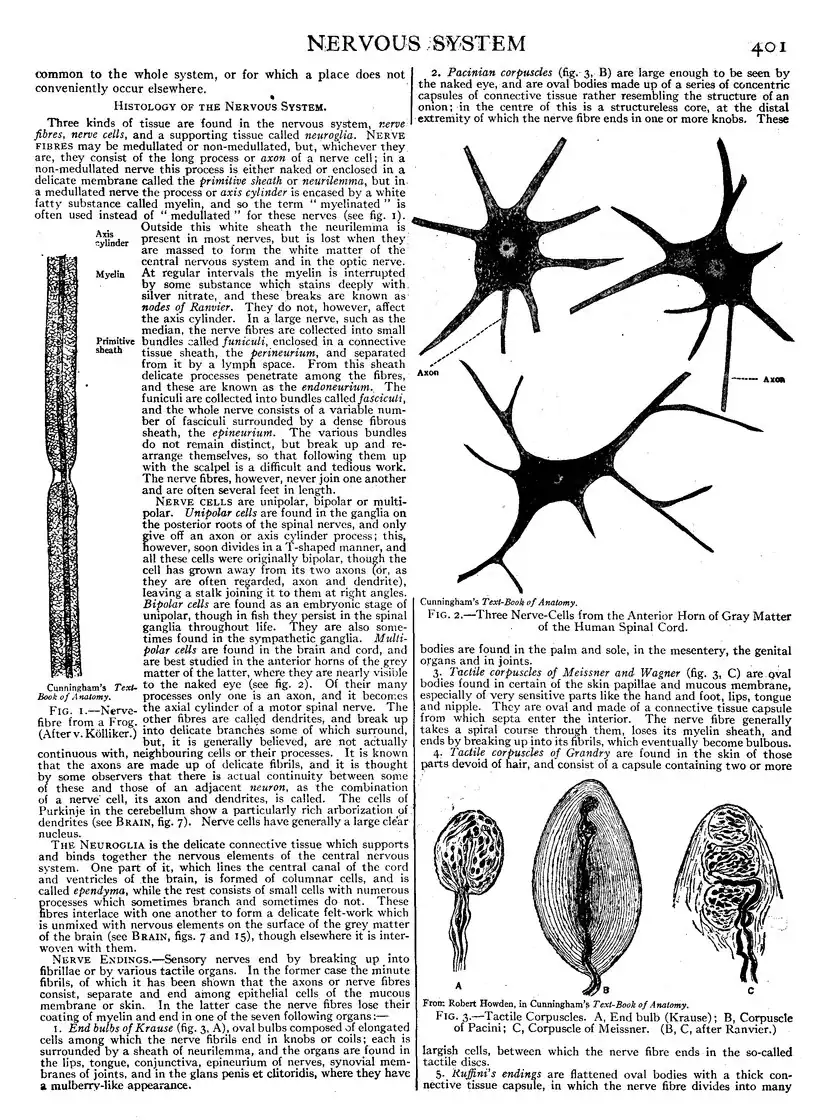 EB1911 - Volume 19.djvu