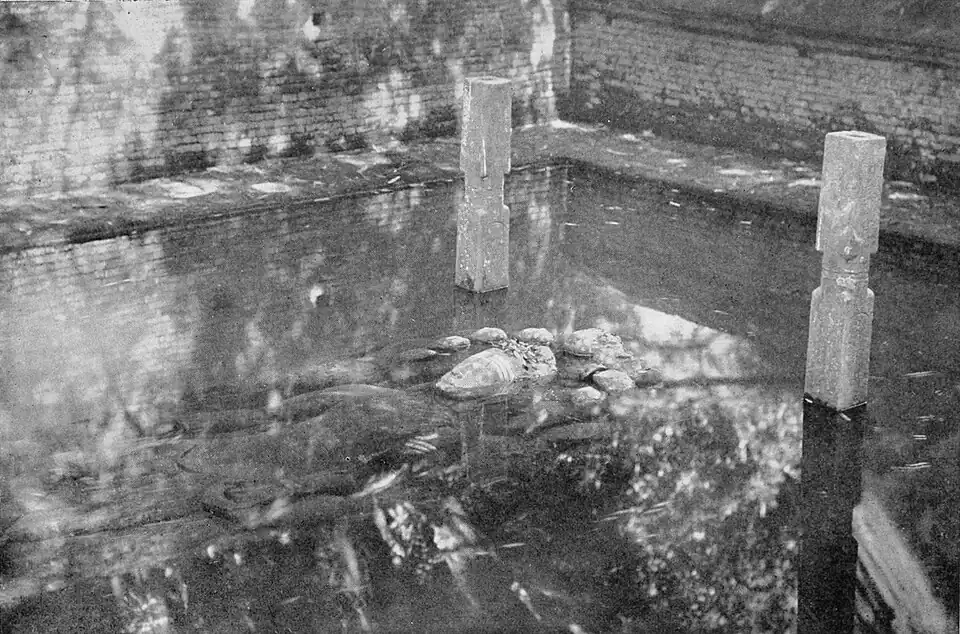 Black and white photograph of the submerged statue of Narain at Bajali.
