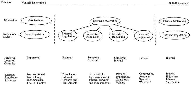 Self-determination continuum