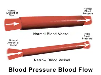 Blood pressure flow.