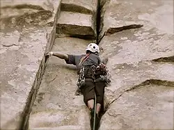 A Human Displaying Perseverance