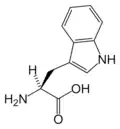 L-Tryptophan (Trp&nbsp;/&nbsp;W)