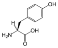 L-Tyrosine (Tyr&nbsp;/&nbsp;Y)
