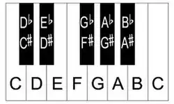 The twelve pitches that make up Western Tonal Harmony