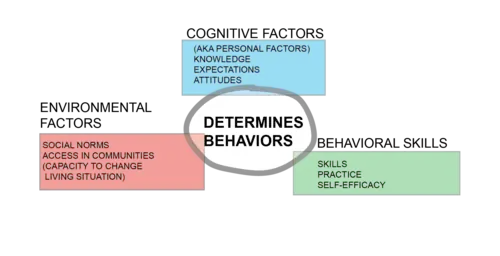 triadic reciprocal model - Albert Bandura